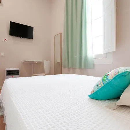 Urban Guest house